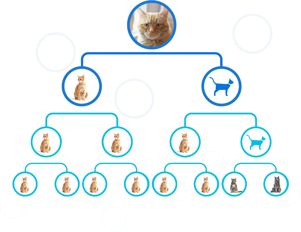 family tree